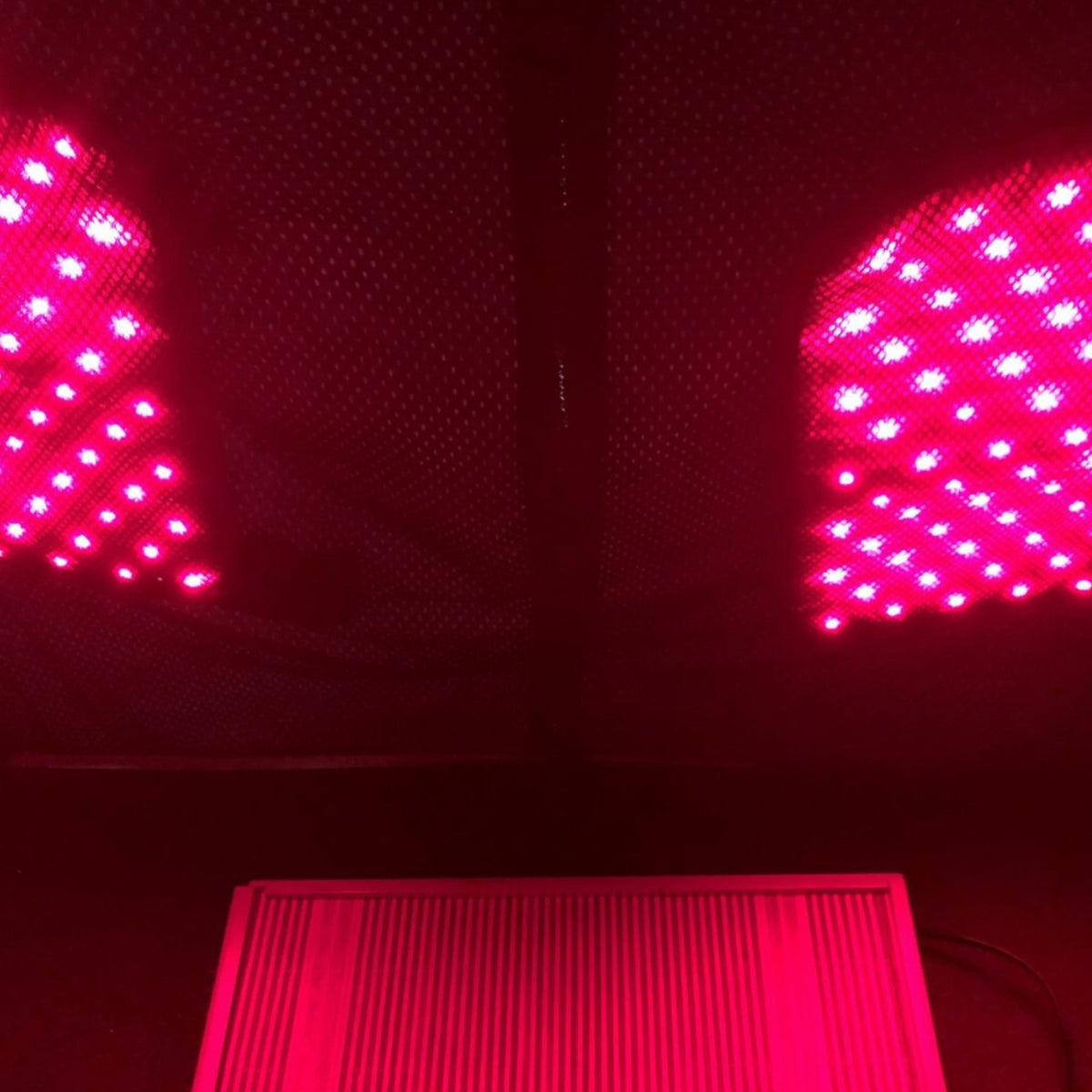 Inside a portable infrared sauna tent with its red light panels lit