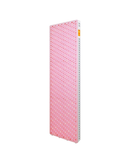 BioLight ReJuvenate Whole-Body Red Light Therapy Panel
