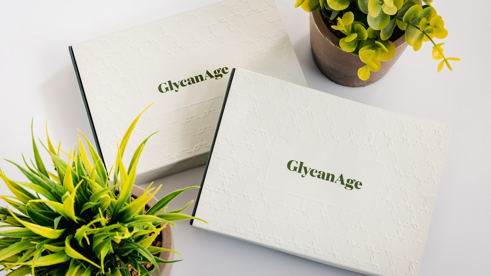 GlycanAge biological age test kit
