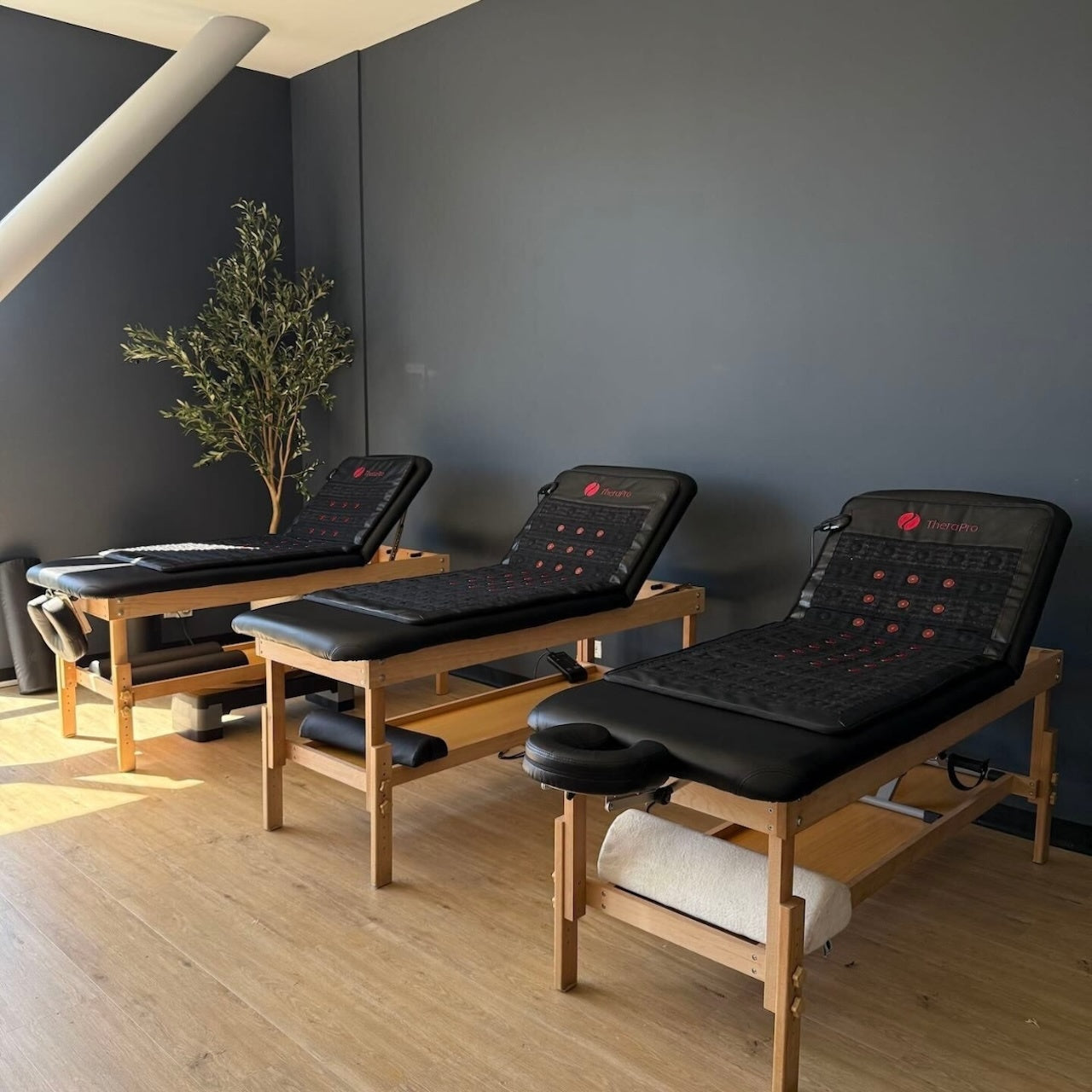 TheraPro Recovery Pad — Large (PEMF, Infrared & Red Light)