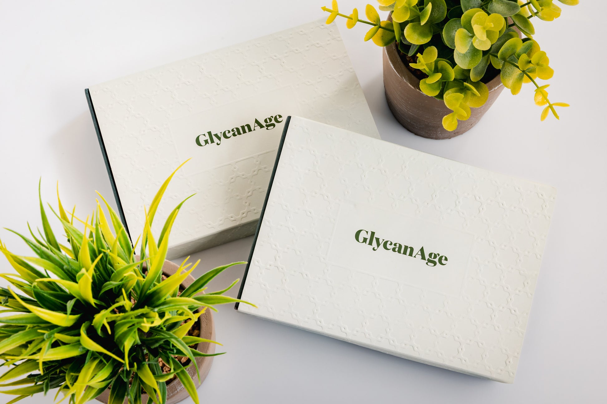 GlycanAge test kit boxes styled with plants