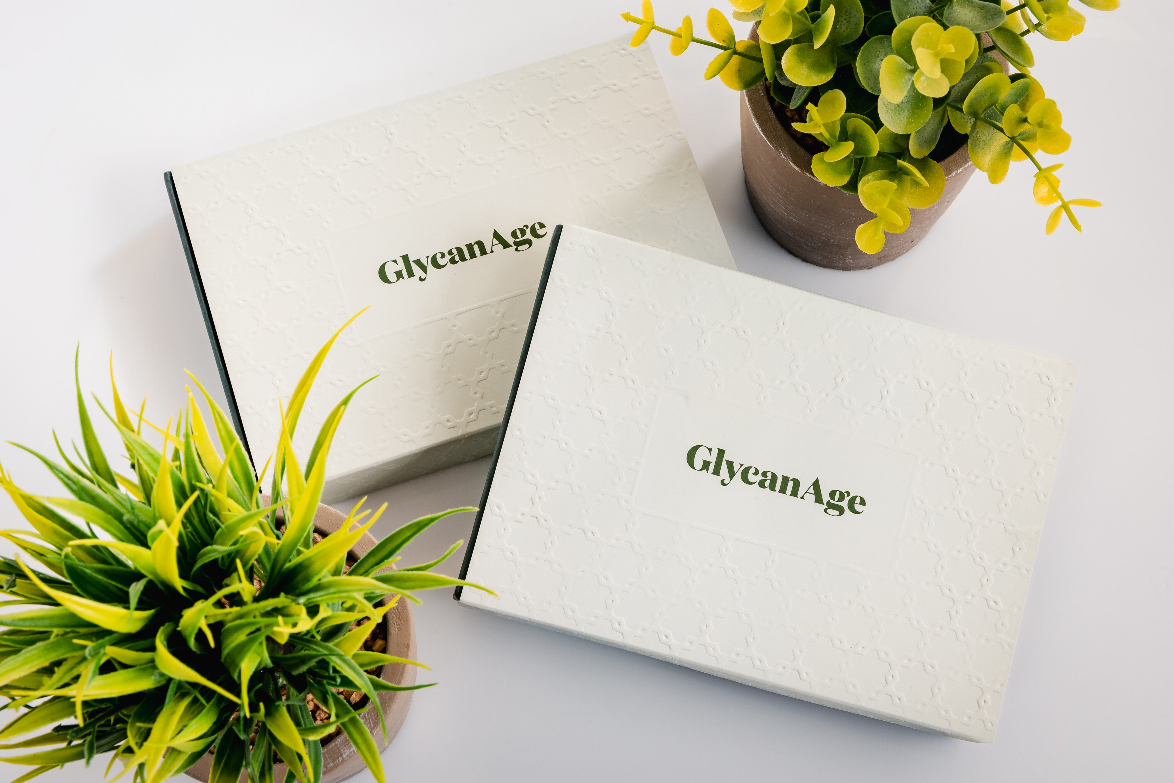 GlycanAge test kit boxes styled with plants