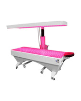 BioLight Adapt System 360-Degree Red Light Therapy Table & Panel cover