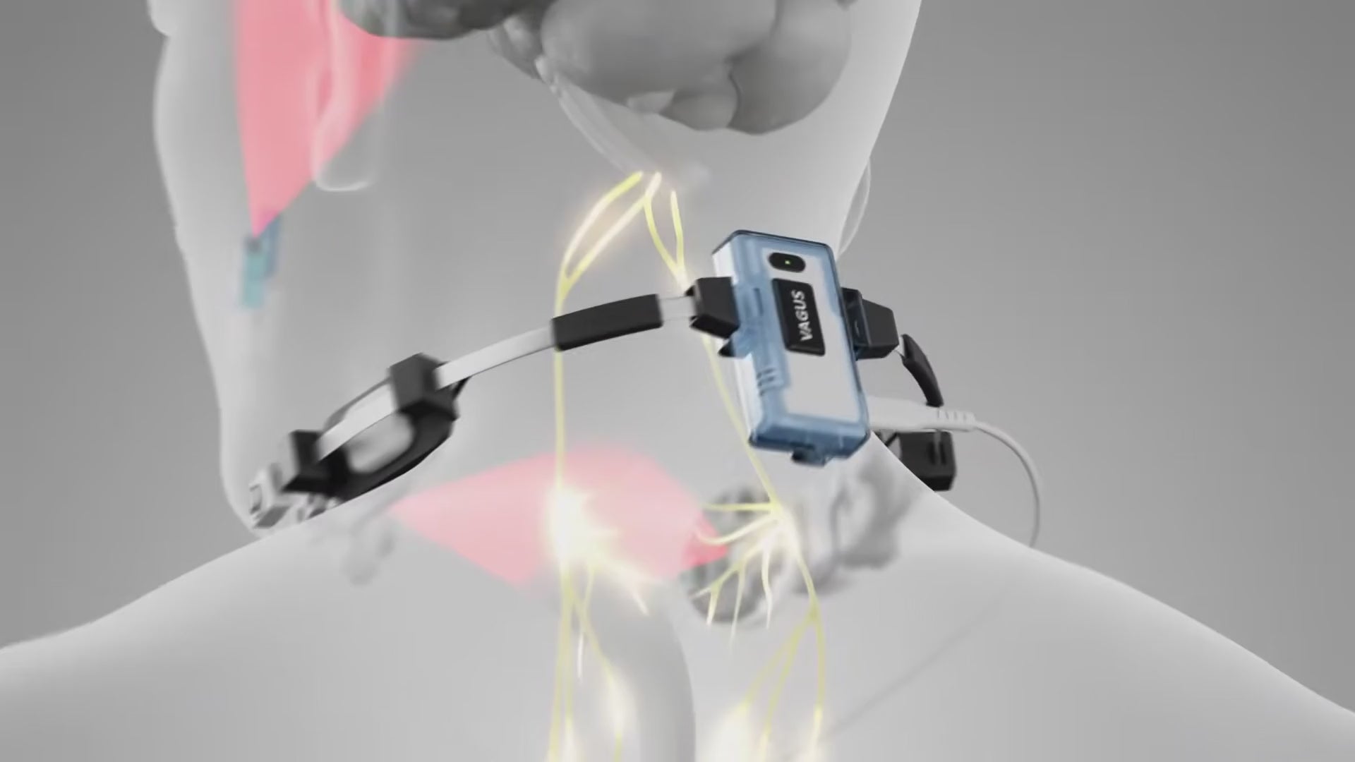 Vielight Vagus near-infrared light animation