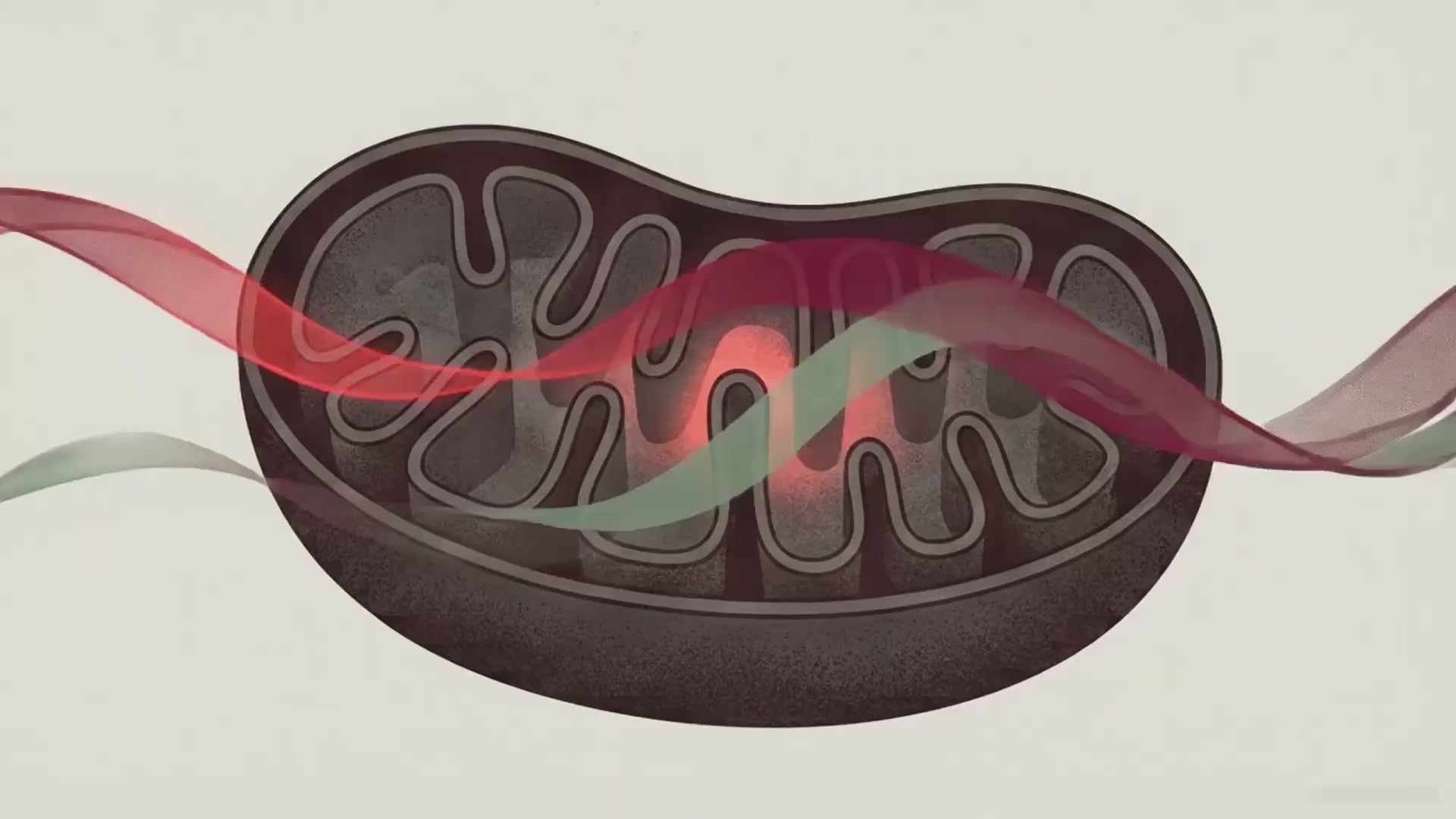 BioLight Cocoon overview video